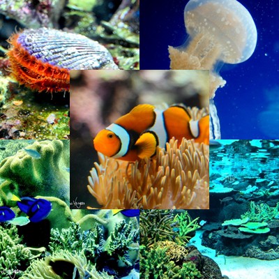 Underwater
